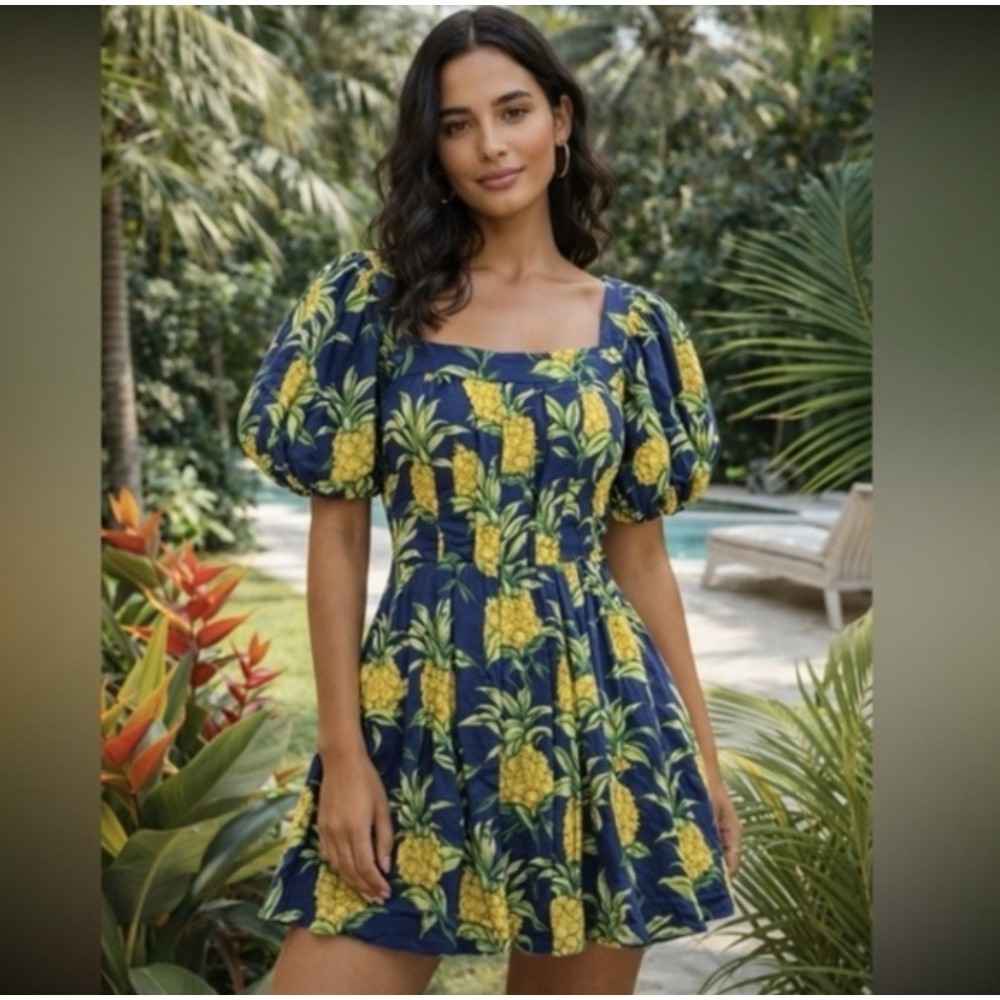 Farm Rio Dress Women's Size XL Delicate‎ Pineapple Navy Blue Mini Linen NWT